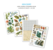 Picture of Ciao Bella Junk Journal Ephemera Book A4 – Asia Diary, 32 τεμ.
