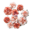 Picture of Prima Marketing Χάρτινα Λουλούδια – Homegrown Collection, Blush Harvest, 10τεμ.